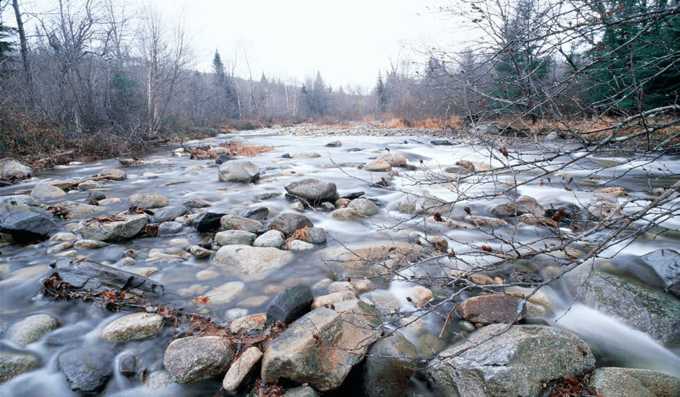 Impacts of Industrial Wind Development on Wildlife and Ridgeline