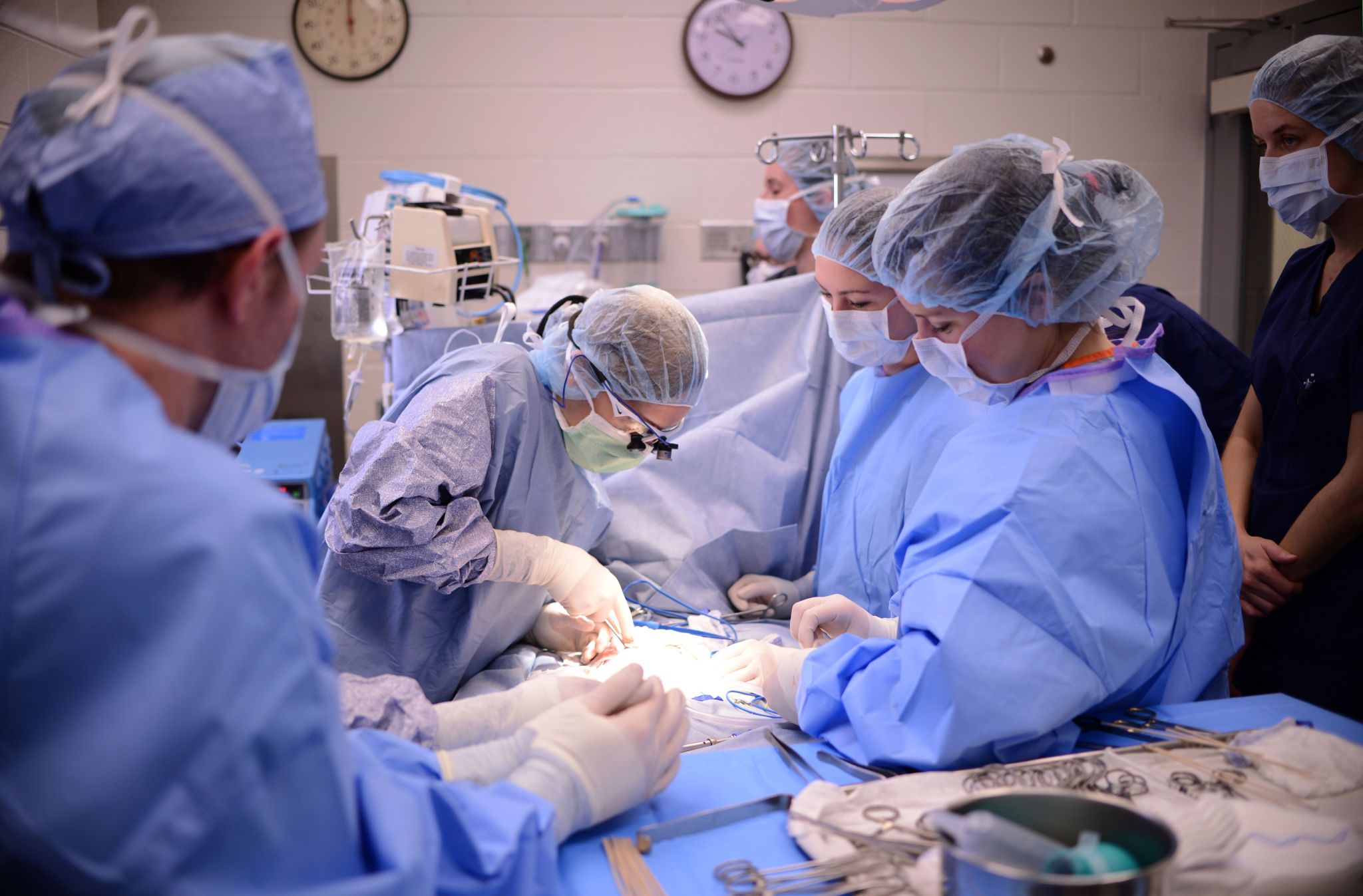 Continuing Education at Penn Vet Penn Vet Clinical Sciences