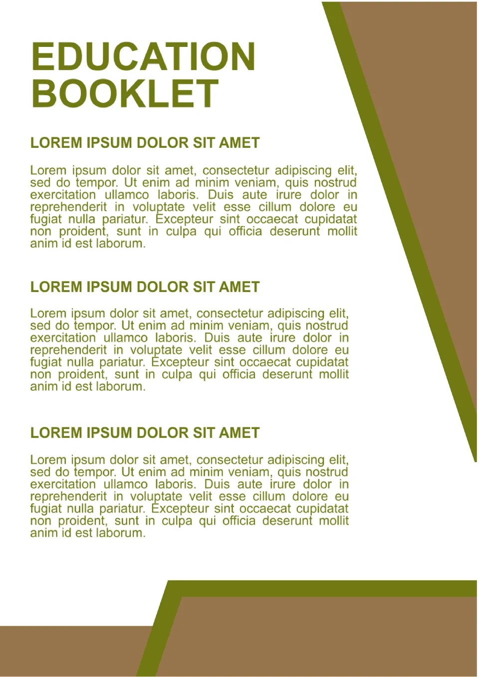 Free Education Booklet Template For Google Docs