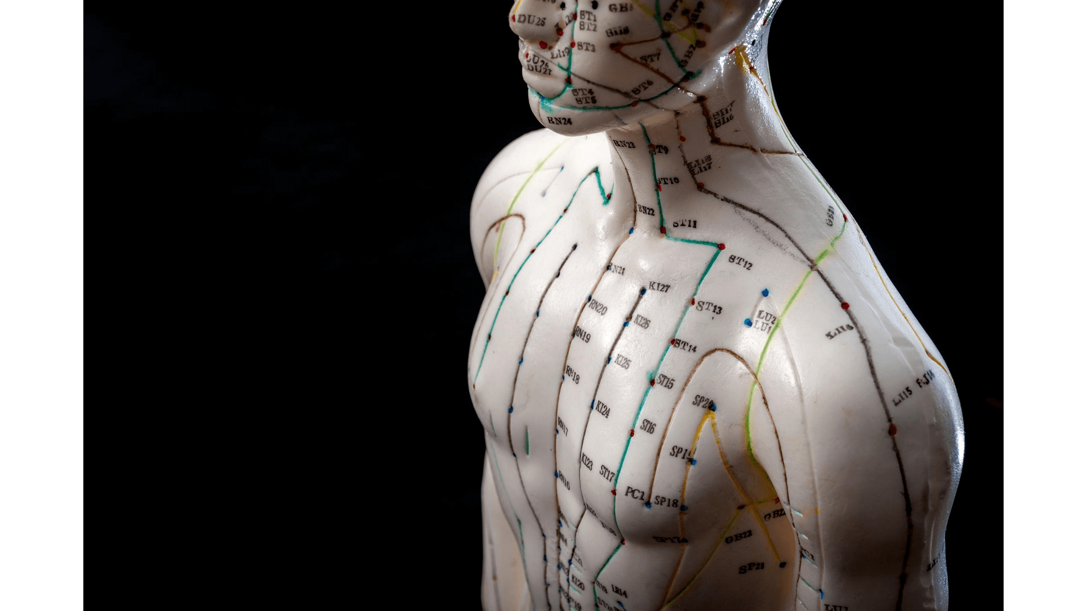 acupuncture points Dr. Niloufar Gorman L.Ac., DACM