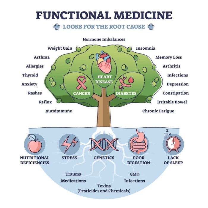 The Role of Functional Medicine in Treating Autoimmune Disorders