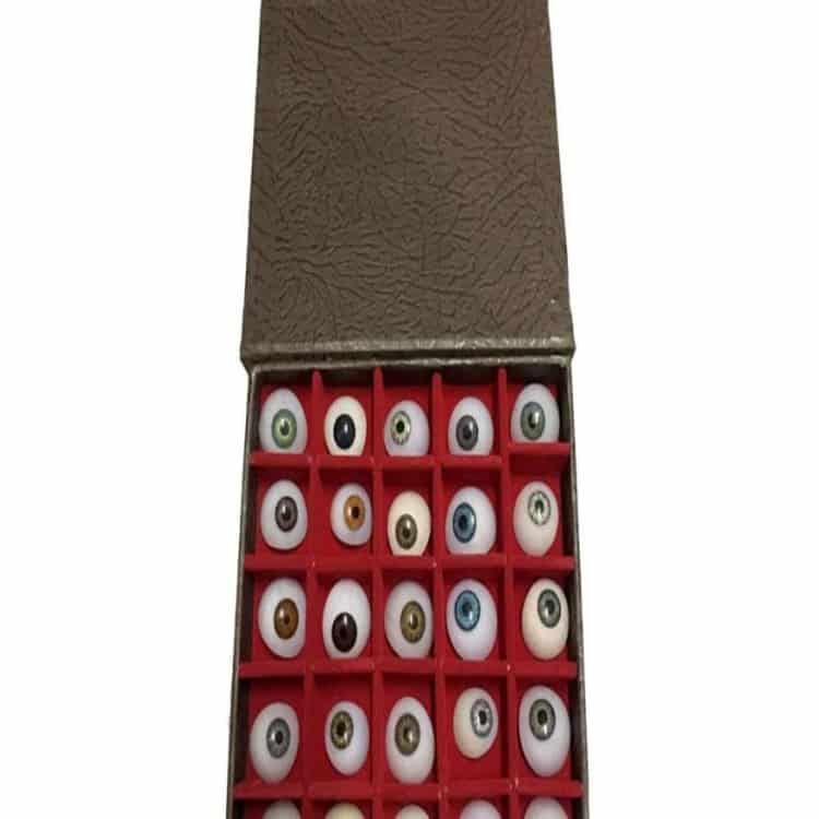 Prosthetic Artificial Eyes Set