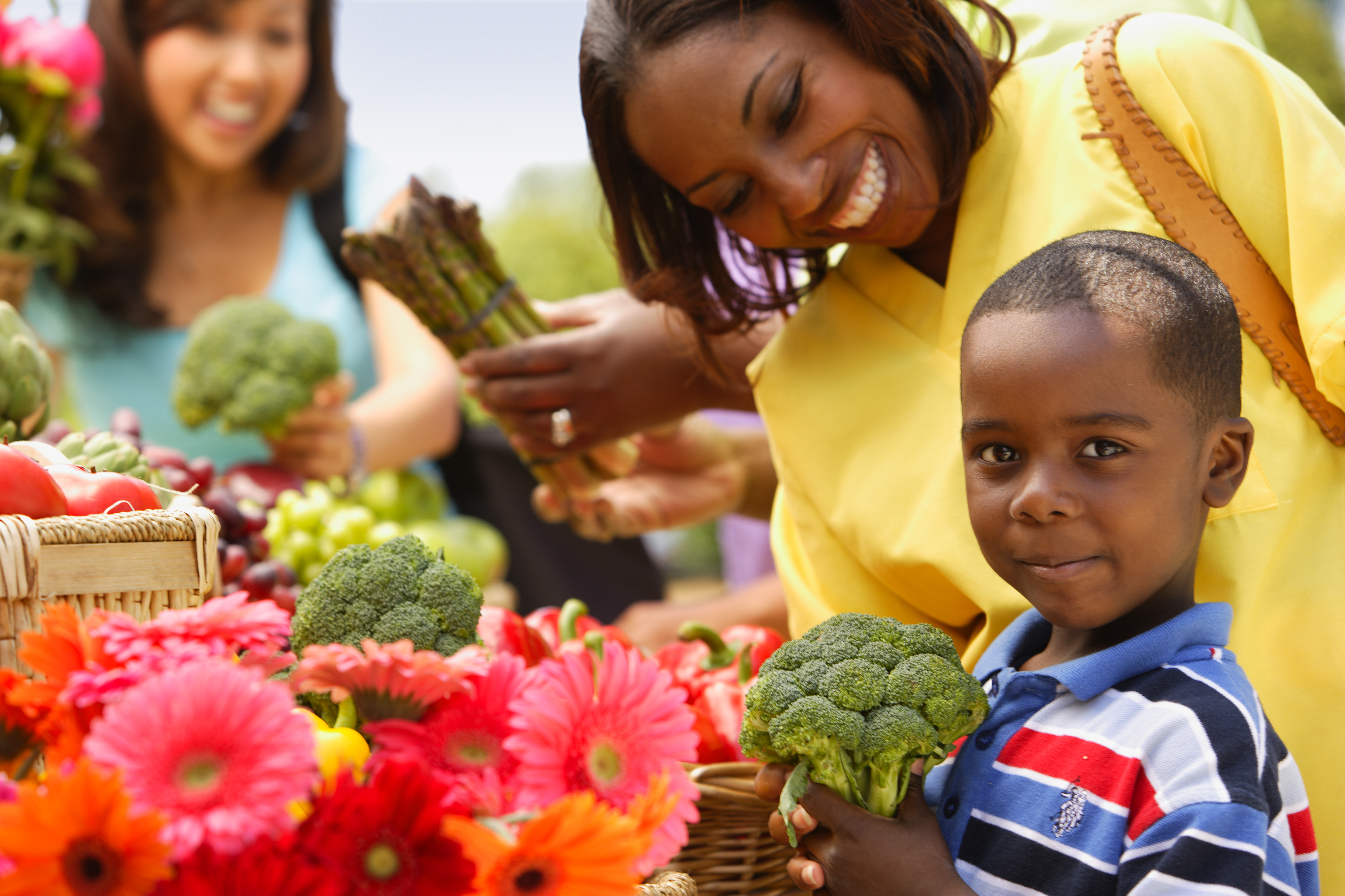 9 Things You Should Know Before You Go Vegetarian TPMG Excellence