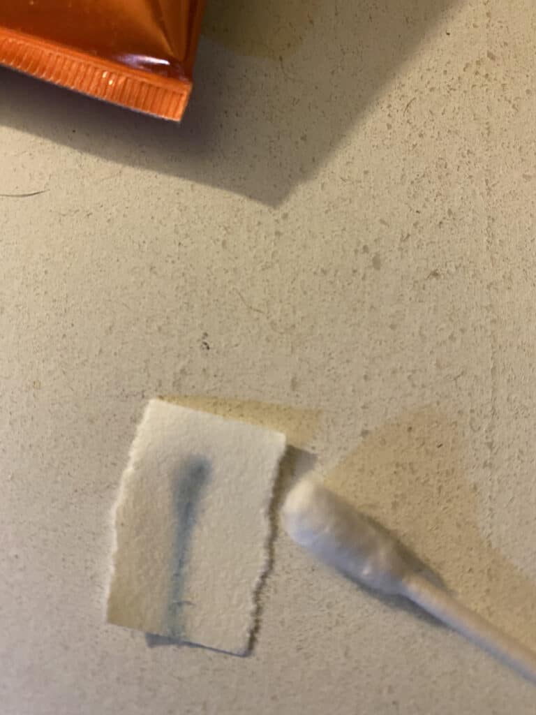 What Do Bed Bug Droppings Look Like? (A Guide With Photos)