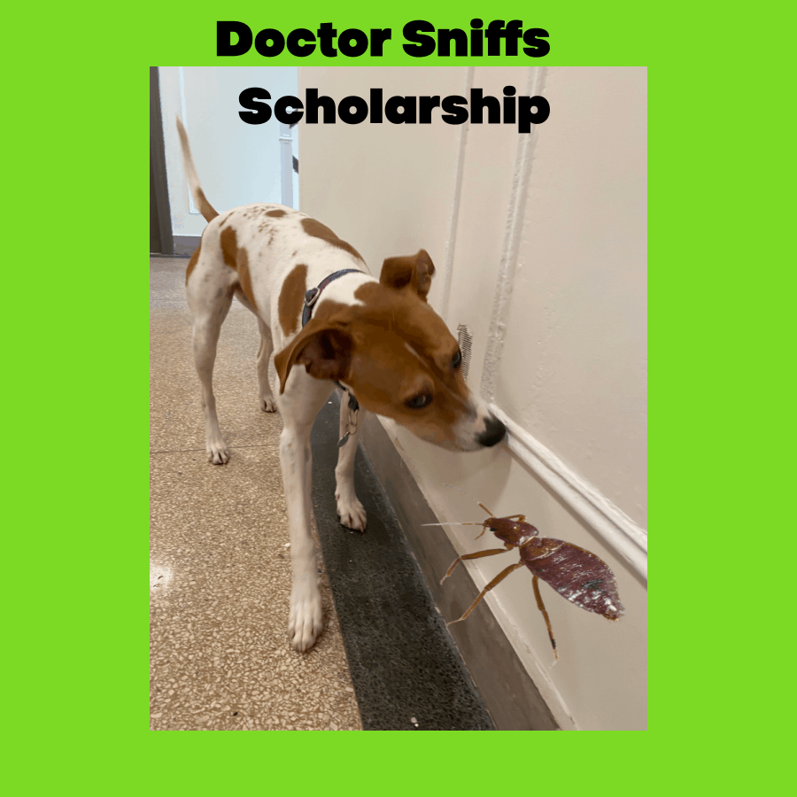 SCHOLARSHIP Doctor Sniffs