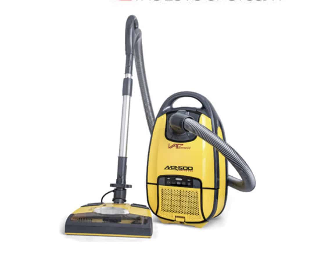 The Best Vacuum for Fleas Is a Vacuum Cleaner Useful for Fleas?