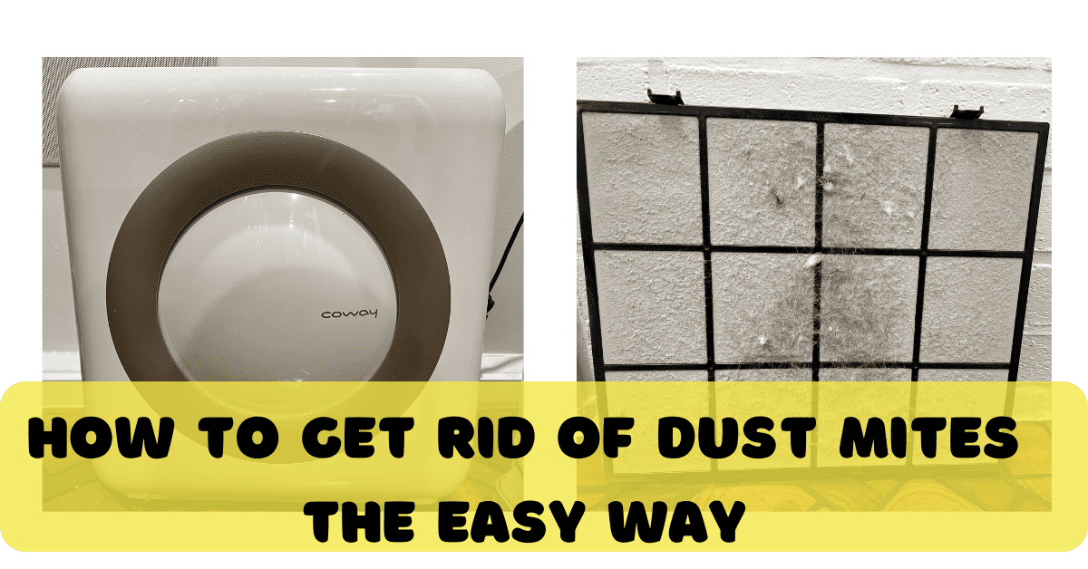 How to Get Rid Of Dust Mites Our Ultimate Guide