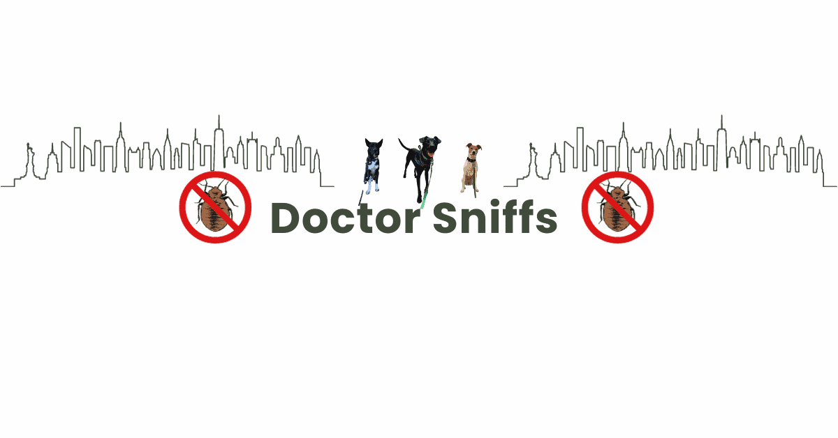 Fast Bed bug inspection NYC Bed Bug Dog NYC!