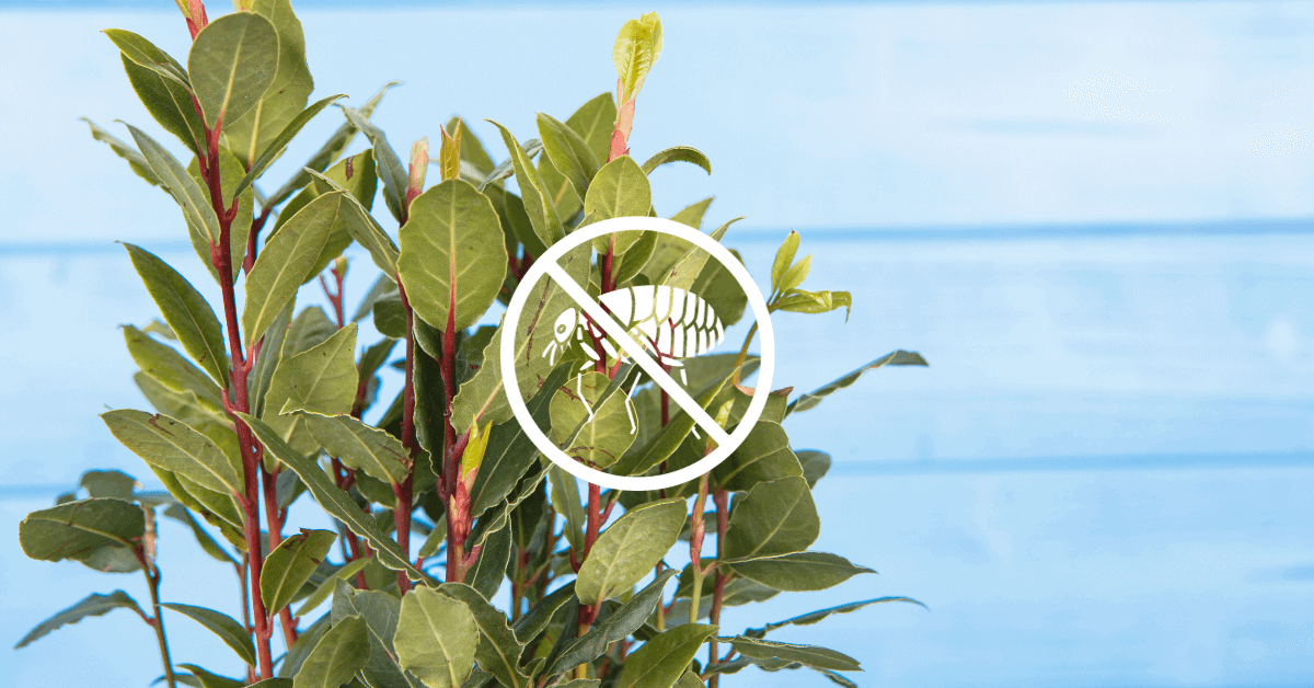 16 Plants That Repel Fleas Naturally