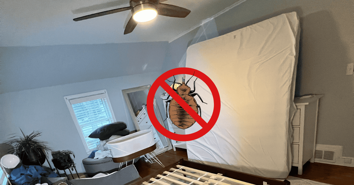 Five Mattress Covers That Are Essential in the Fight Against Bed Bugs