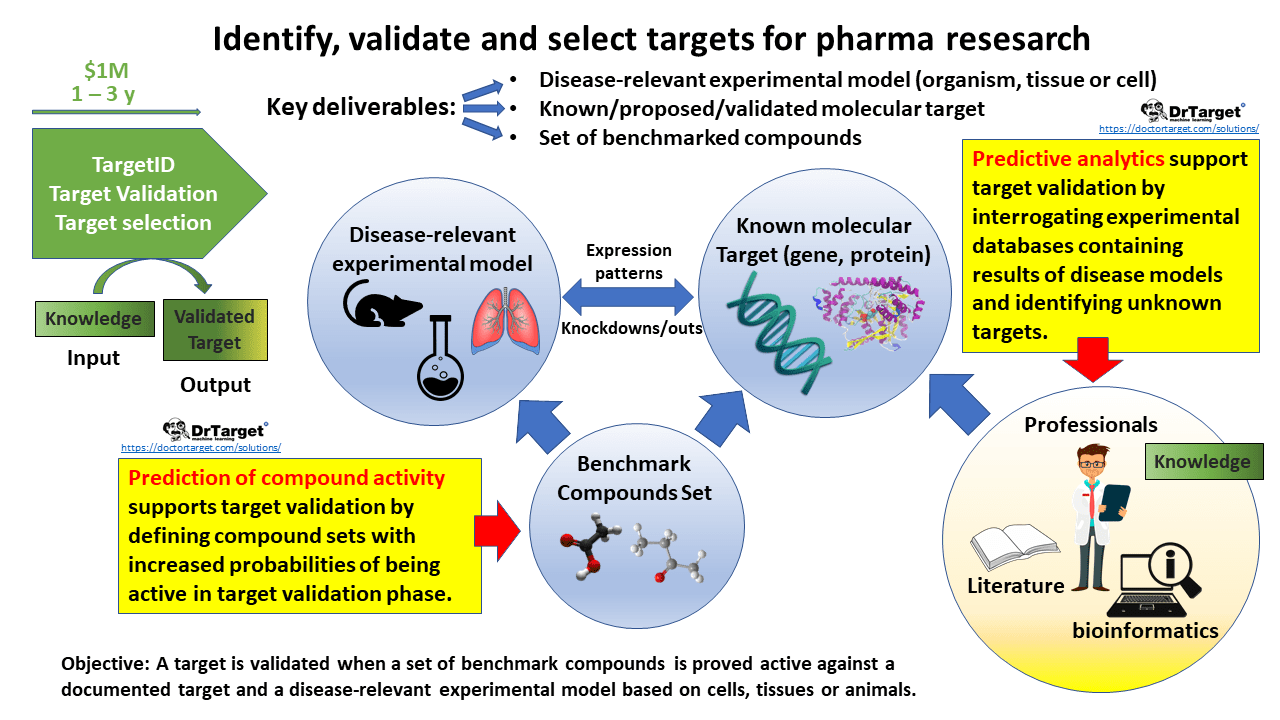 Machine Learning applied to Drug Discovery