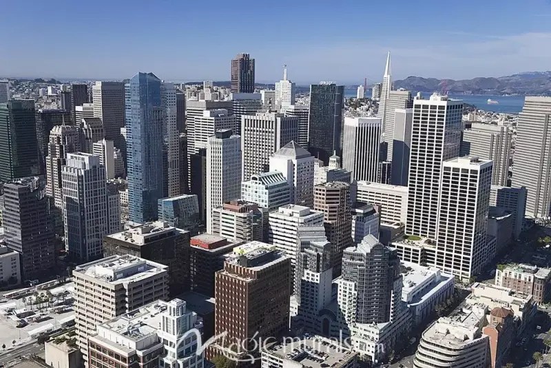 Translation Services In San Francisco, CA ⭐️ DocTranslator