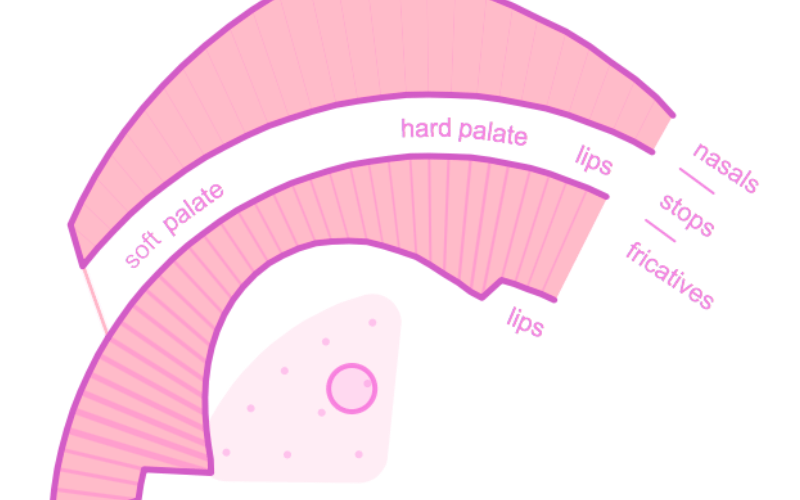 Pink Trombone MIT Docubase