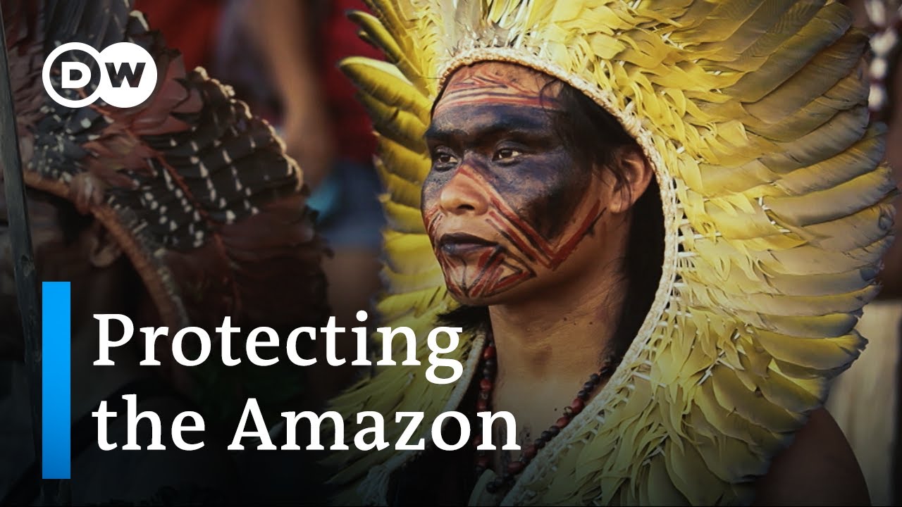 The Amazon in danger Indigenous peoples and their struggle for the