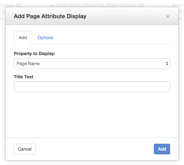 Page Attribute Display