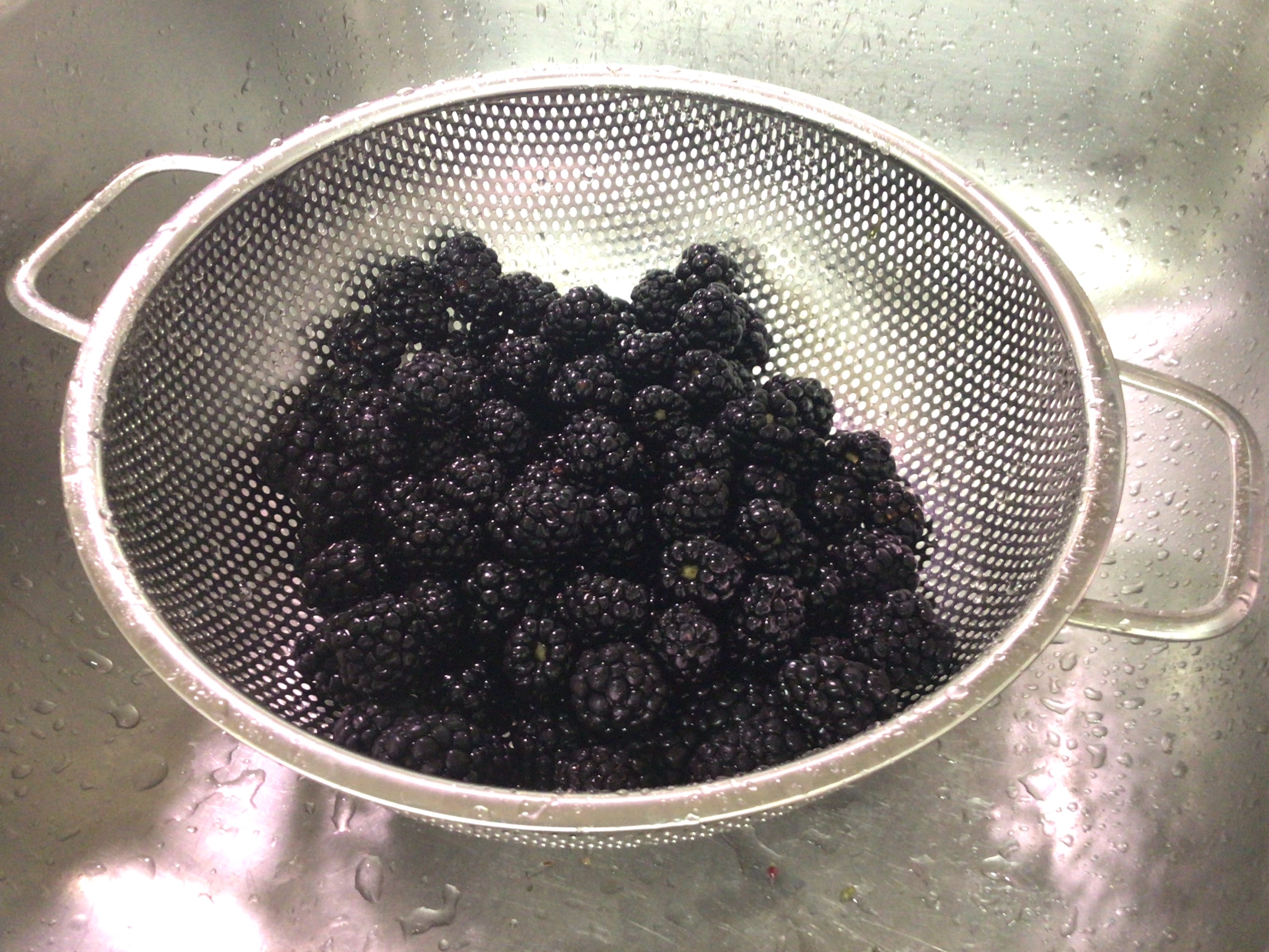 Blackberry Fruit Leather Documenting Making