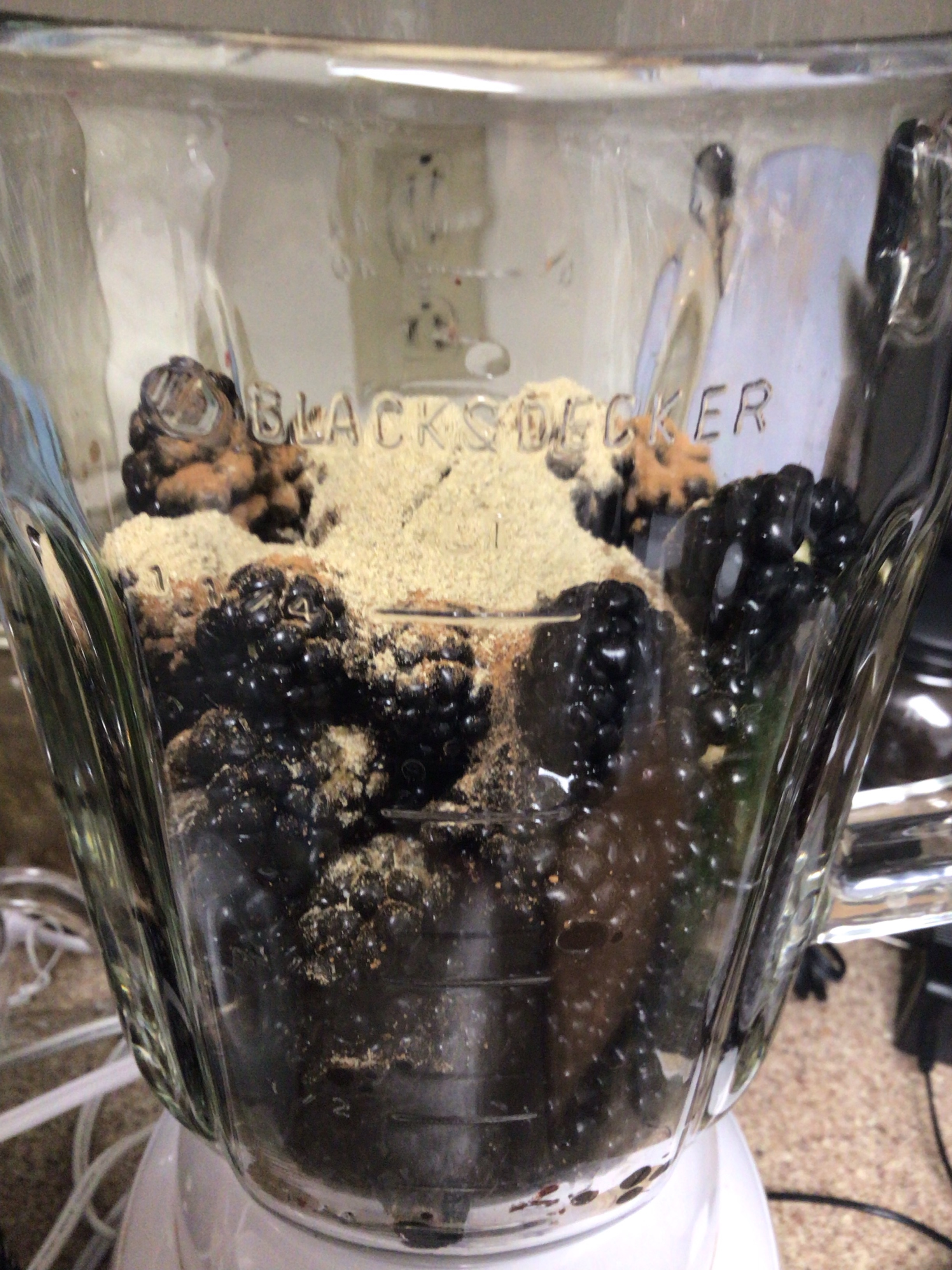 Blackberry Fruit Leather Documenting Making