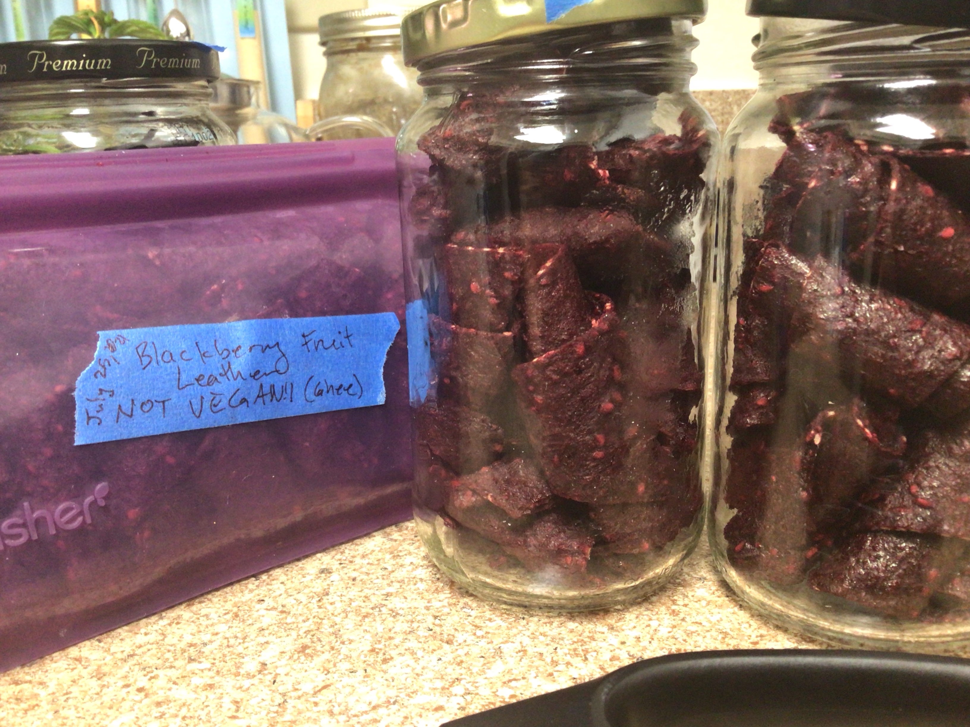 Blackberry Fruit Leather Documenting Making