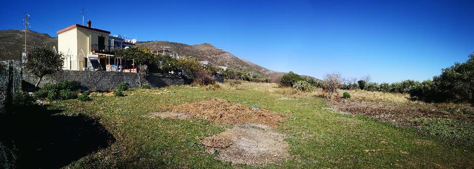 Asta giudiziaria Terreno Via vicinale vecchia per Peagna , snc 17023 Ceriale SV