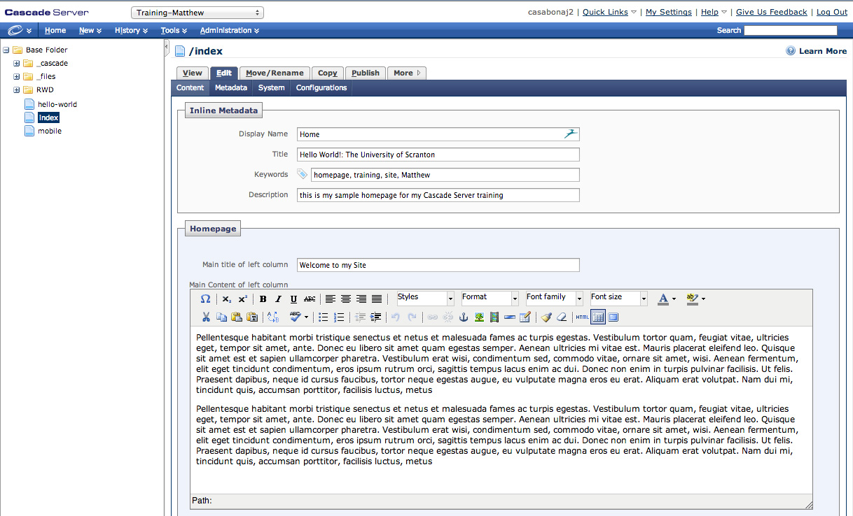 WordPress Development