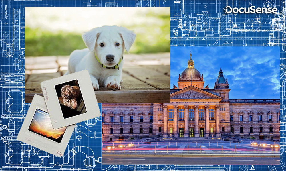 35mm Slide, Film Negatives & Glass Plate Scanning DocuSense