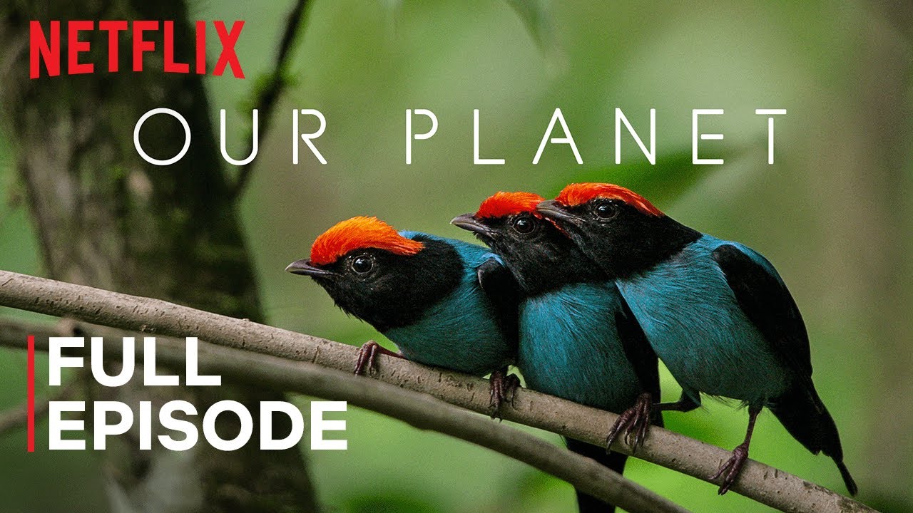 Netflix Educational Documentaries (on Youtube)