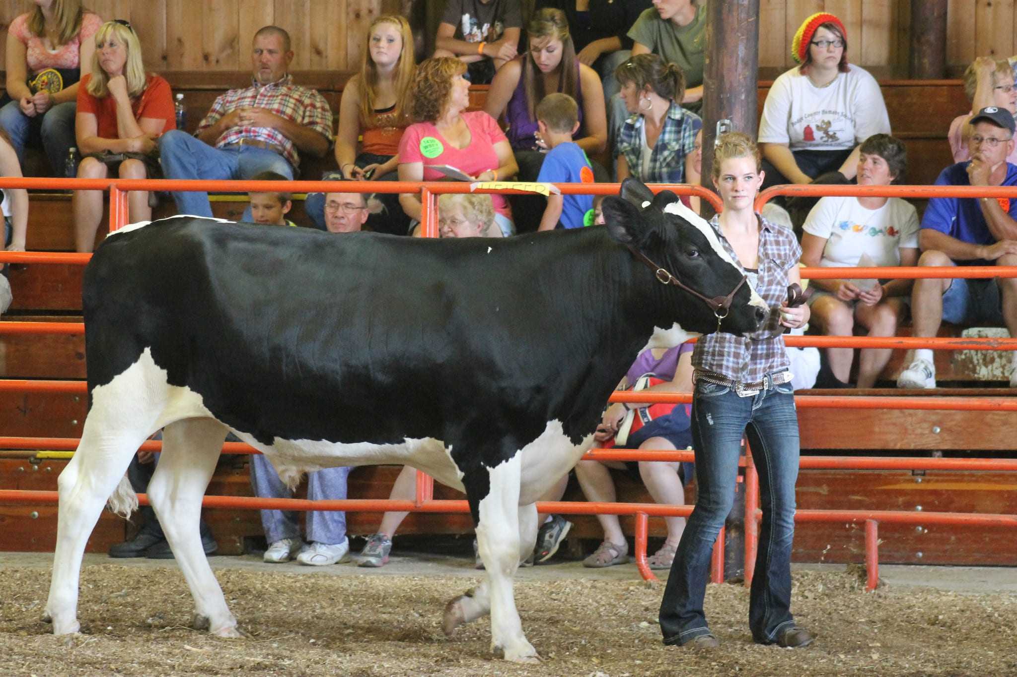 Fourteenth Annual Dairy Fitting Contest Dodge County Fairgrounds