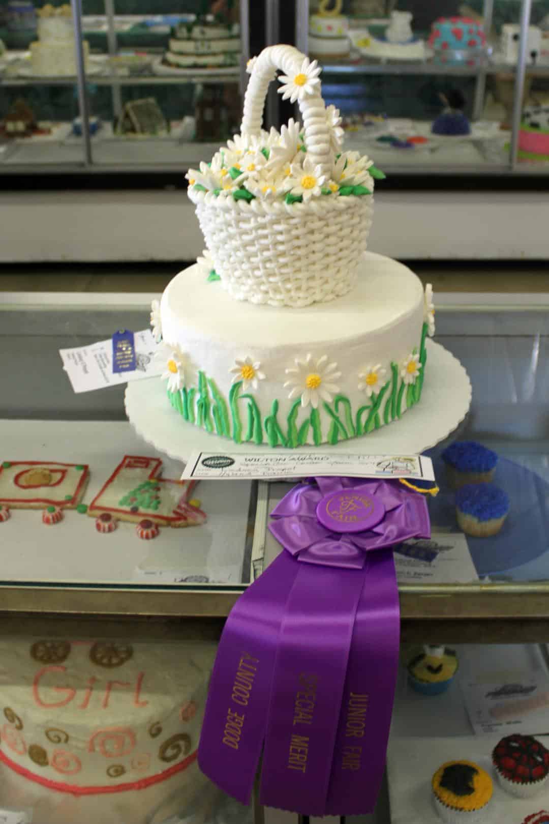 Cake Decorating Judging Dodge County Fairgrounds