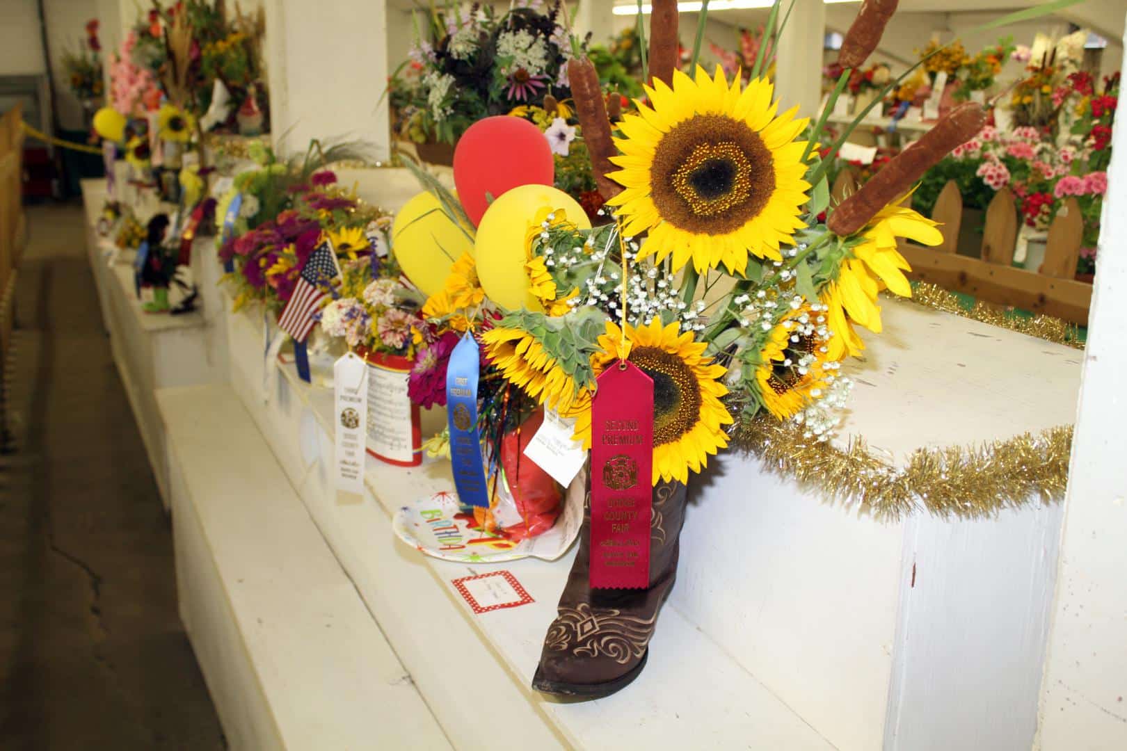 Open Class Flowers Judging Dodge County Fairgrounds