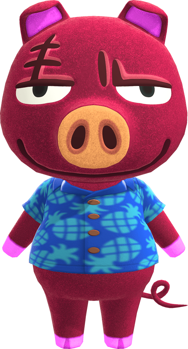 Rasher Animal Crossing Wiki Nookipedia
