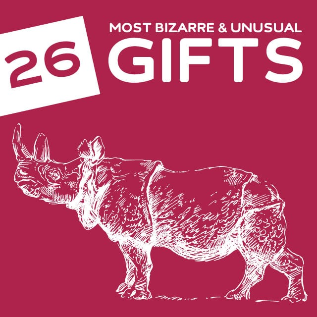 26 Most Bizarre & Unusual Gifts of 2013