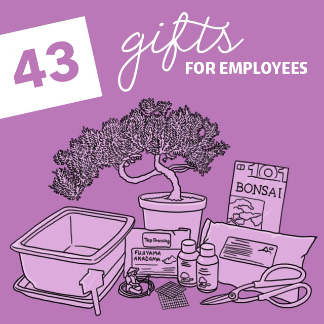 43 Gifts for Good Employees Dodo Burd