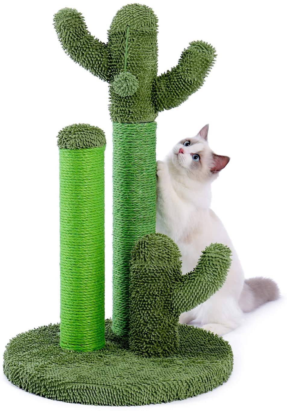 38 Cactus Gifts (OMGworthy) for the Prickly People in Your Life Dodo