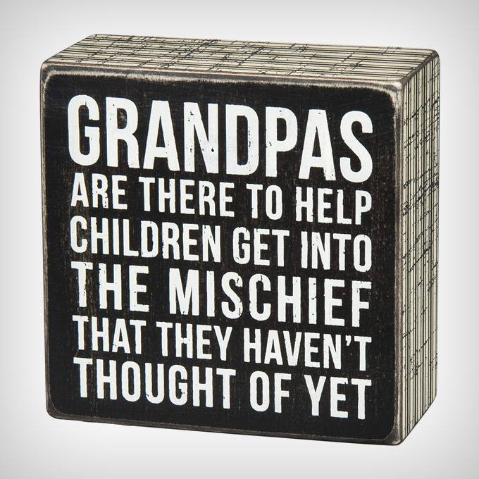 34 Fun Gifts for Hip Grandparents Dodo Burd