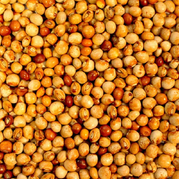 Pigeon peas D.K. Impex Ltd.