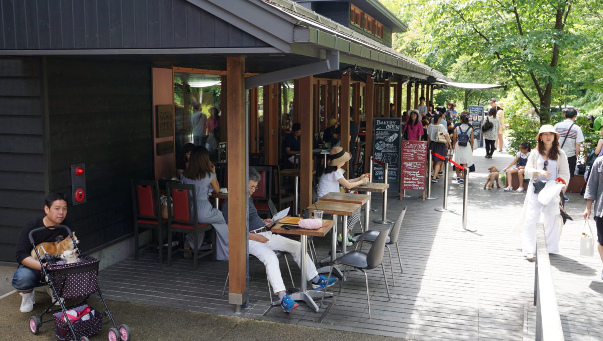 夏の軽井沢、渋滞回避でハルニレテラスに行く 26発目のどどんぱ