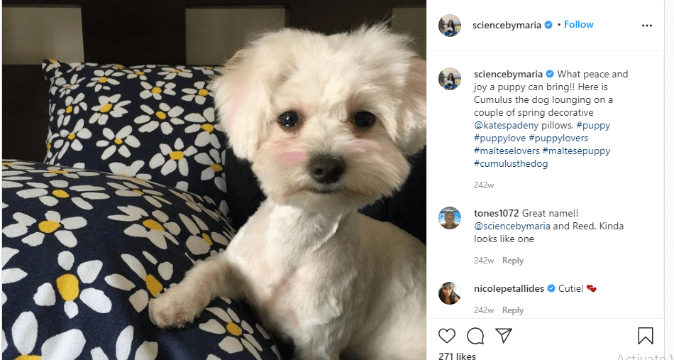 Reed Timmer Biography, Net worth, Career, Bio, Relationships, Parents