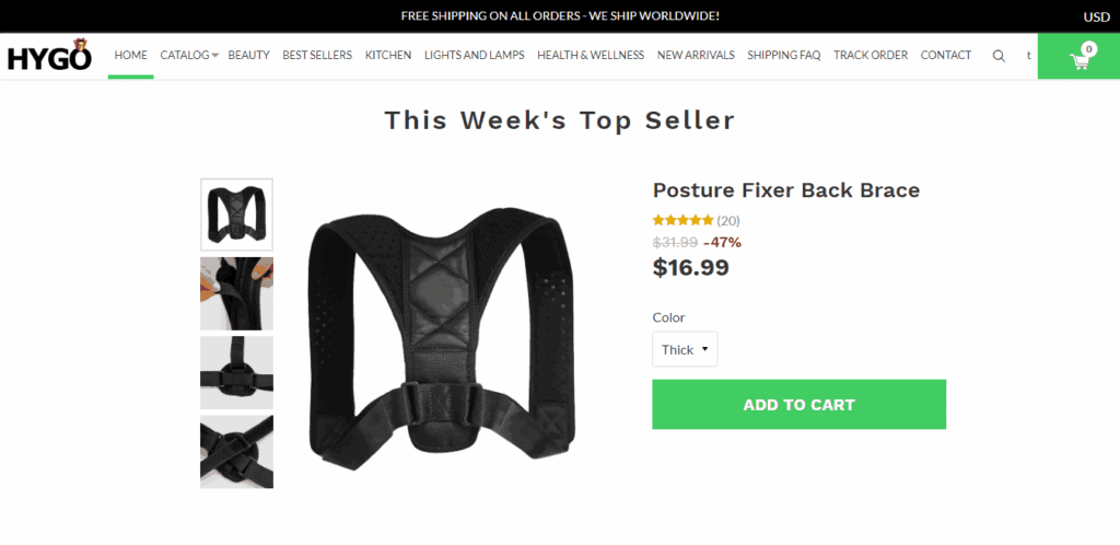 17 Most Successful Shopify Dropshipping Store Examples Inspiration