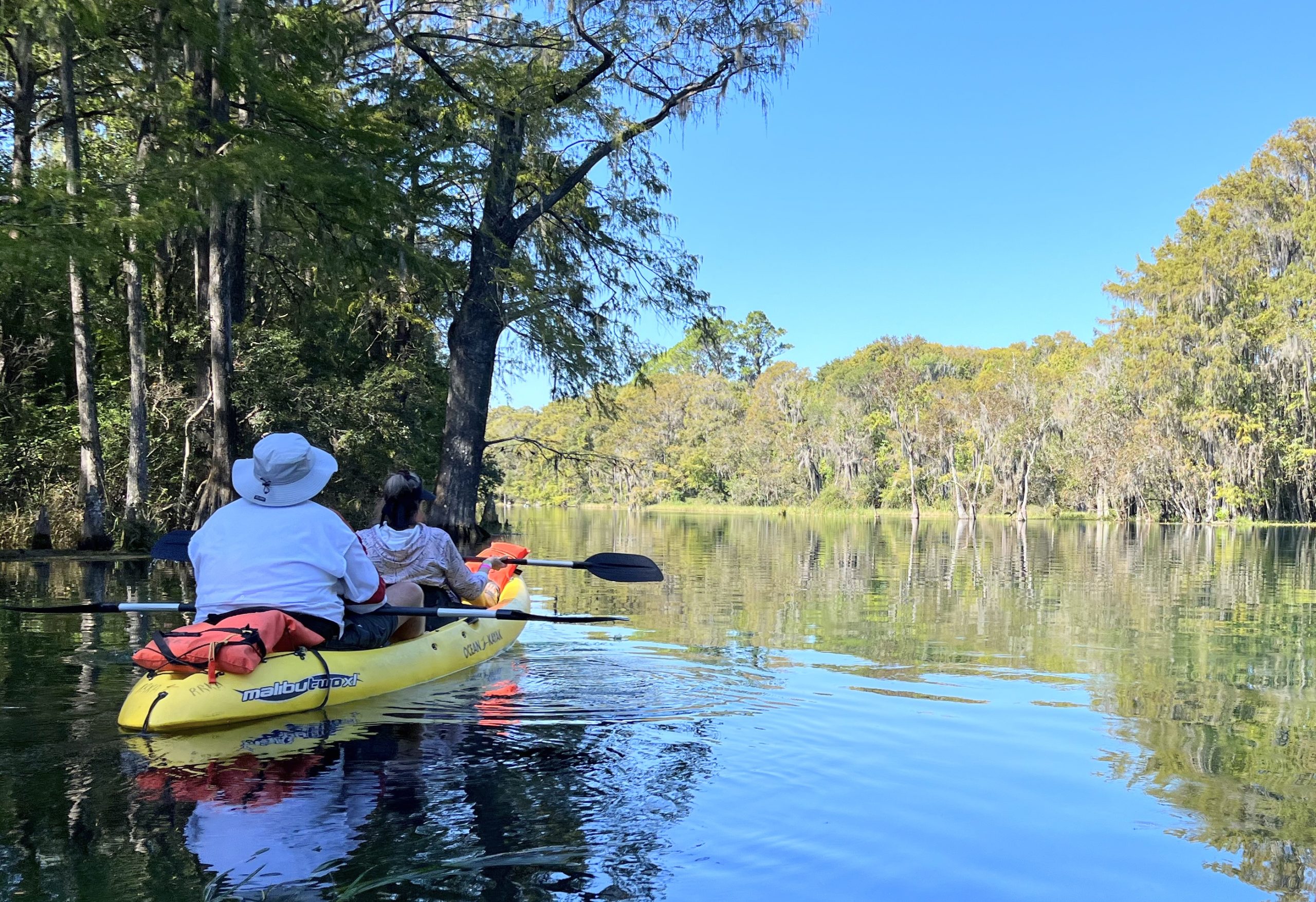 Doe Key Property Management Fullservice And Professional Property