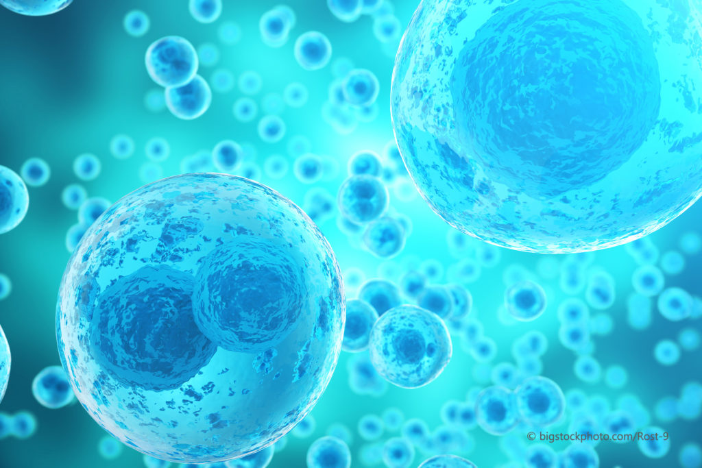 Artificial Life Synthetic Biology Does God Exist? Today