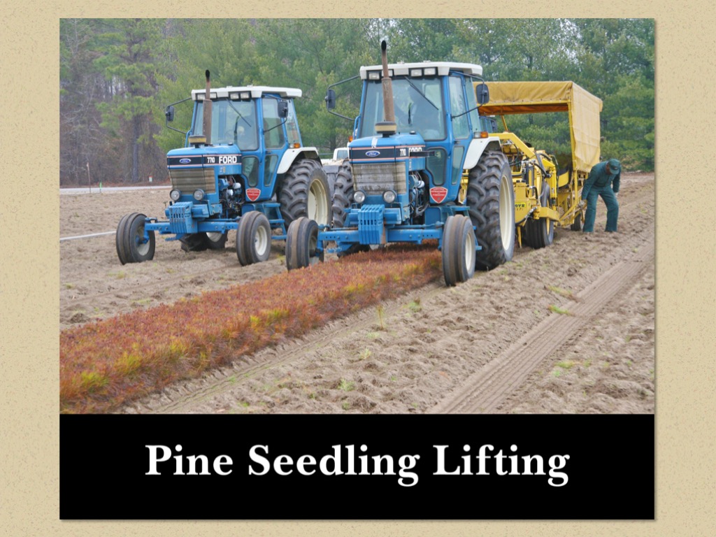 Nursery Operations in Pictures Virginia Department of Forestry