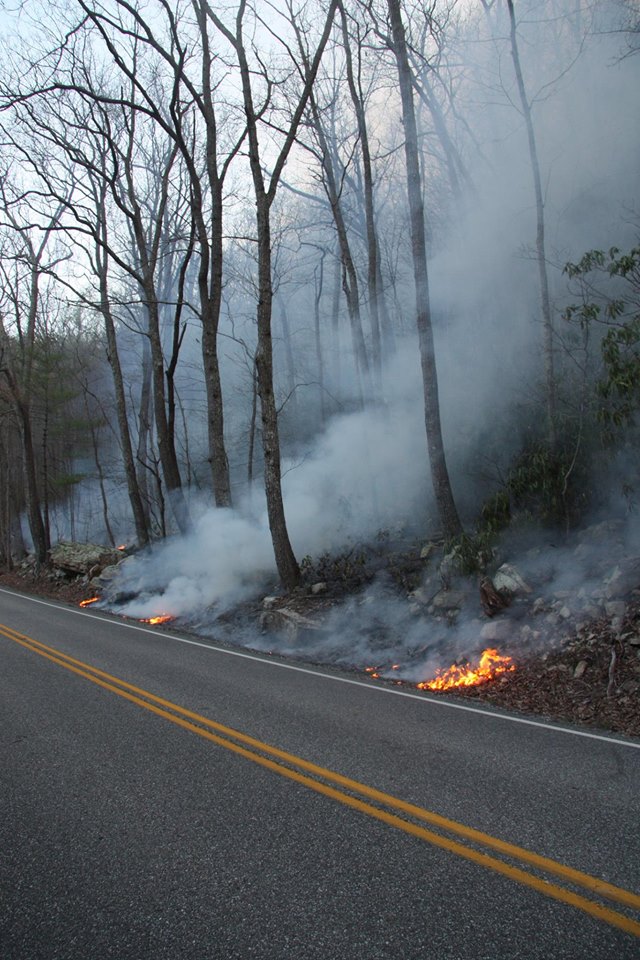 Virginia Department of Forestry Warns of Increased Fire Danger