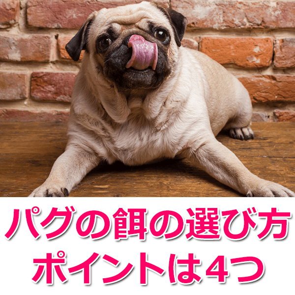 パグにおすすめのドッグフード5選！餌の量や餌代は？ ドッグフードのABC