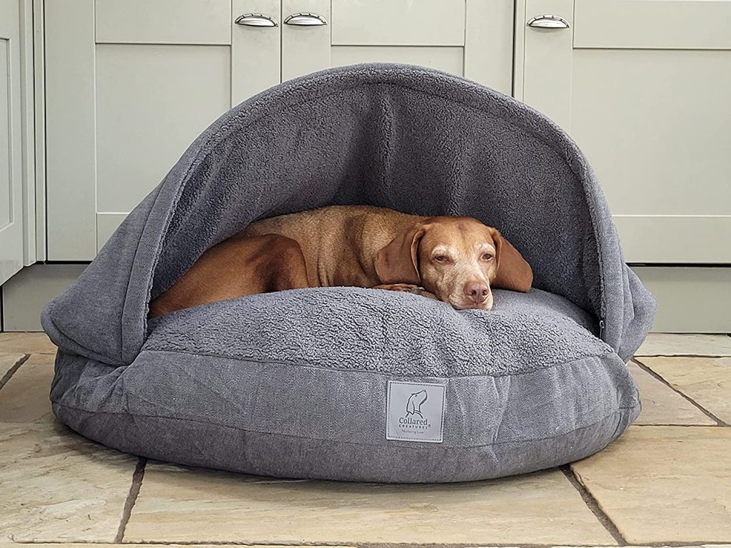 Fancy Dog Beds For Dogs Who Like To Be Fancy