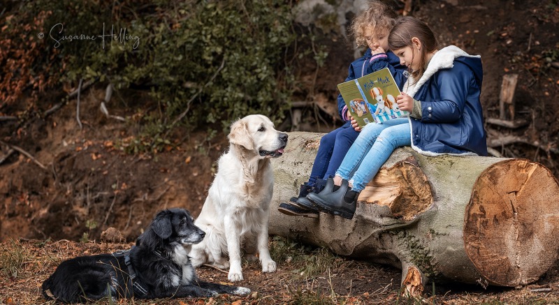 hundegestützte Pädagogik Dog Solution