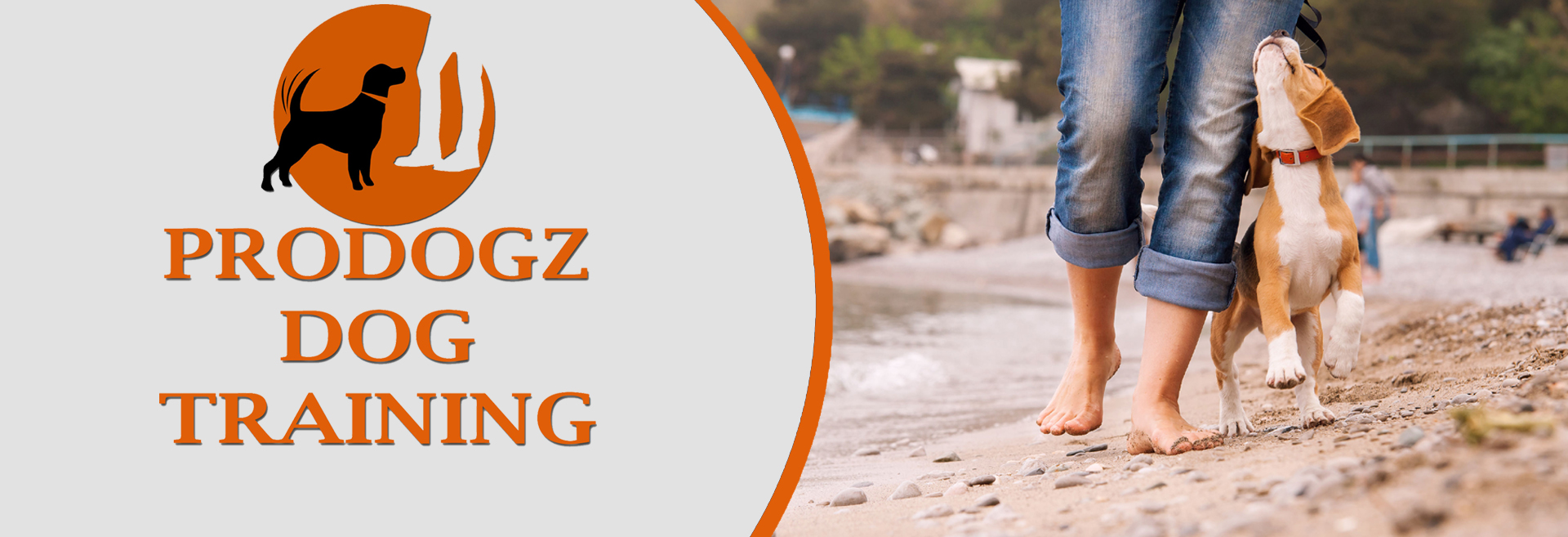 Dog Training Medford Oregon Puppy Training Classes Dog Training Classes