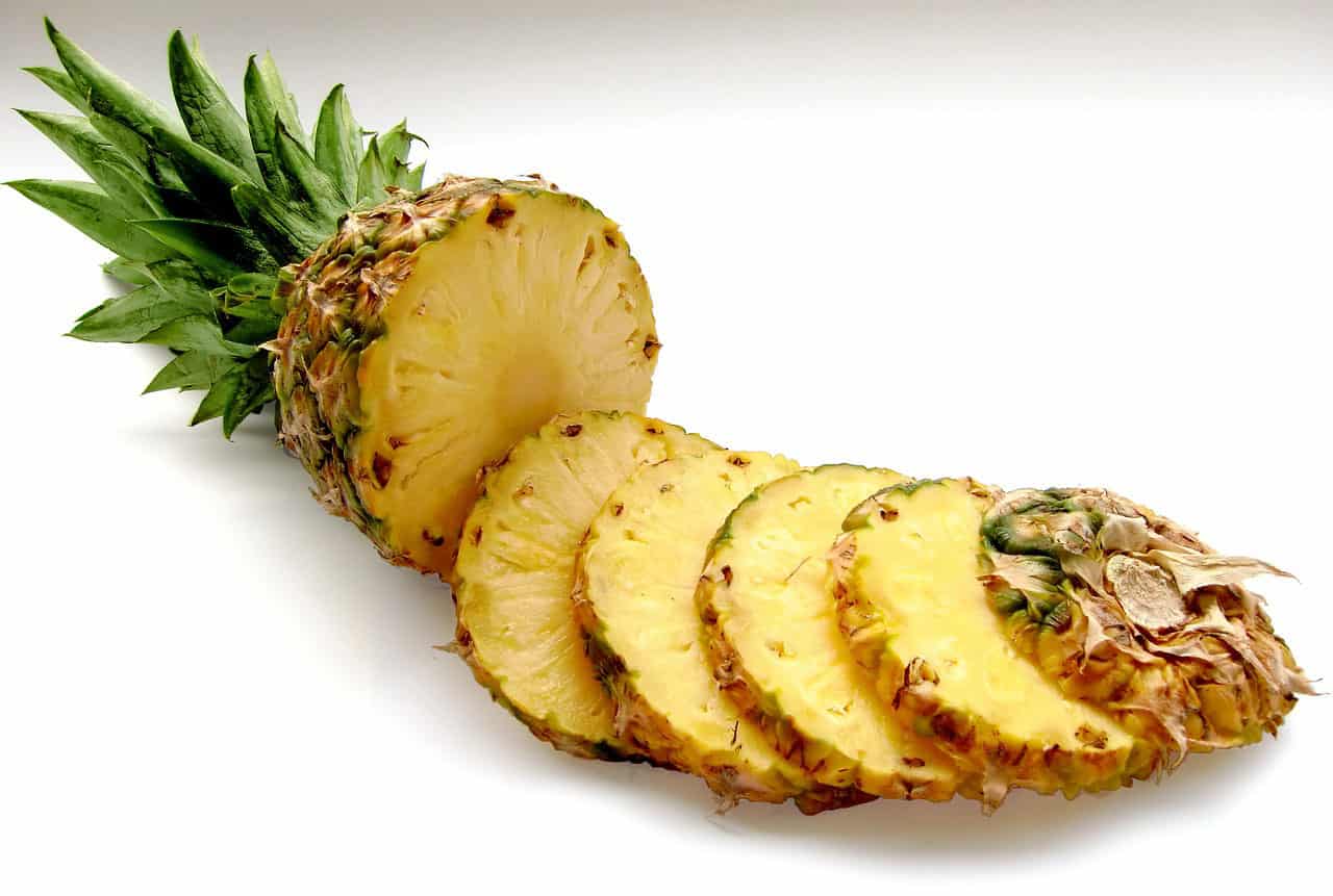 Can Dogs Eat Pineapples? Sweet and Rich in Minerals Dogable