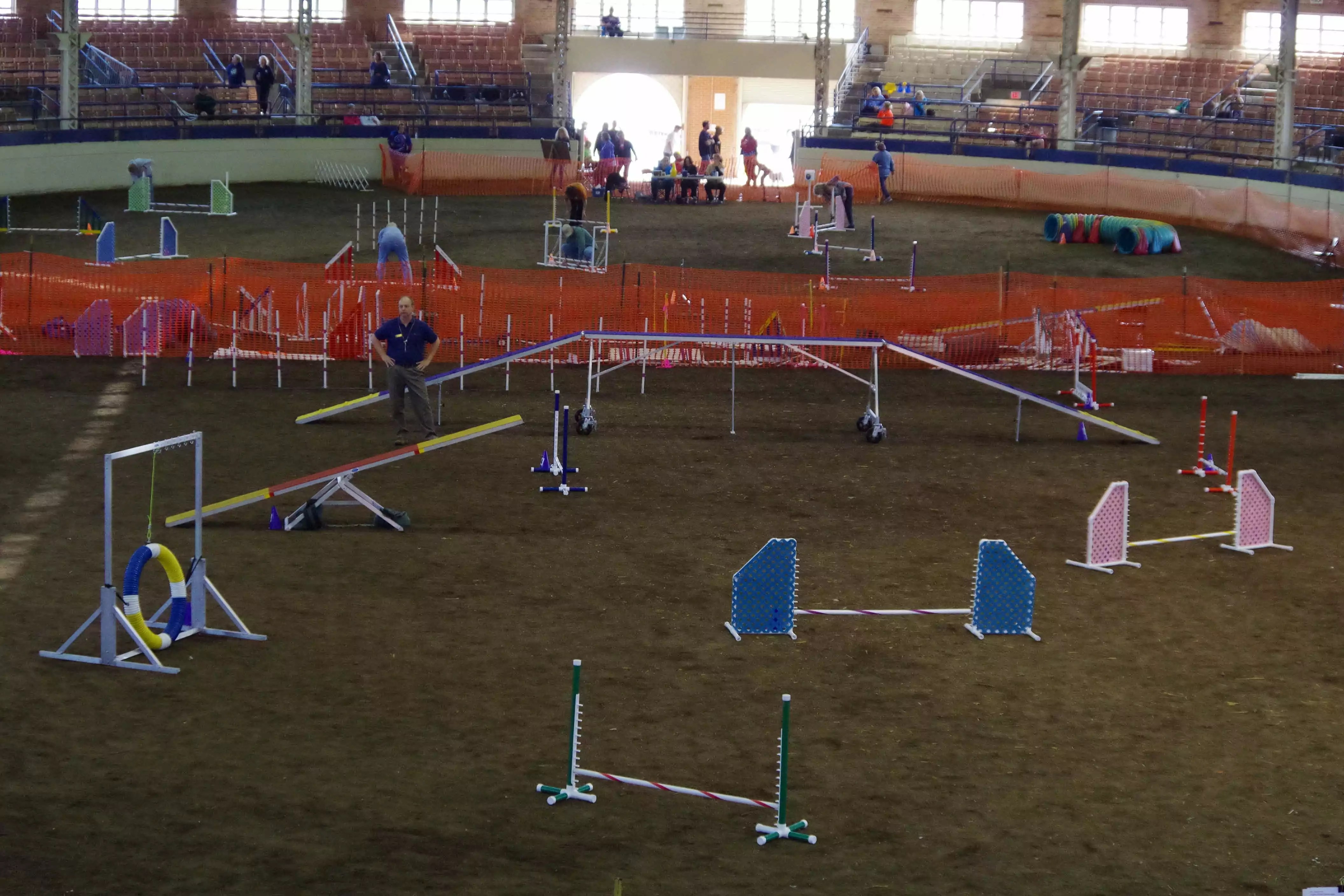 Capitol Canine Training Club Agility Trial, Springfield, Illinois Dog