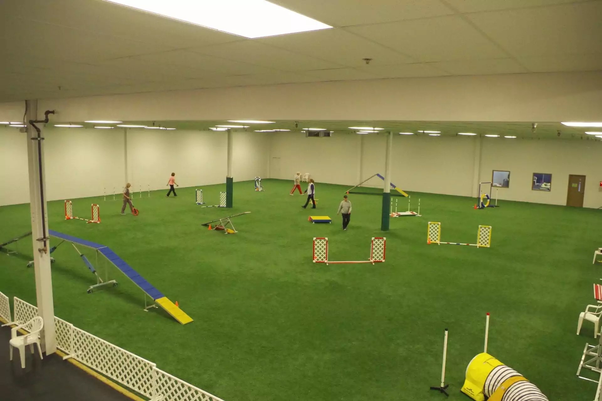 Agility Rings Countryside Agility Training Center Erie PA Dog