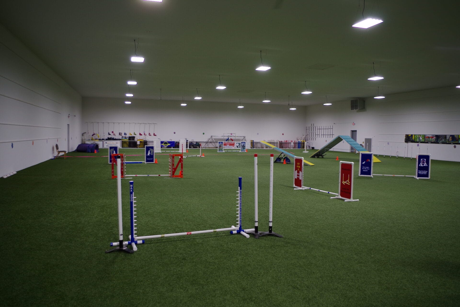 BrandSpankin' New All Dogs Can in Lapeer MI Dog Agility Trials